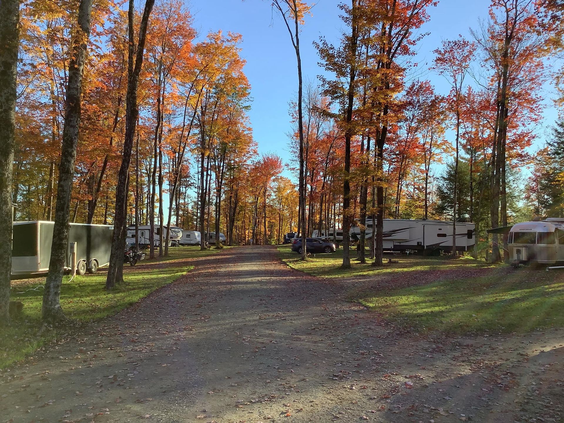 A dirt road going through the campground with a lot of trees and leaves on the ground.