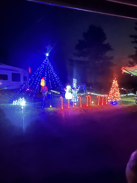 A Christmas tree is lit up at night in a yard.