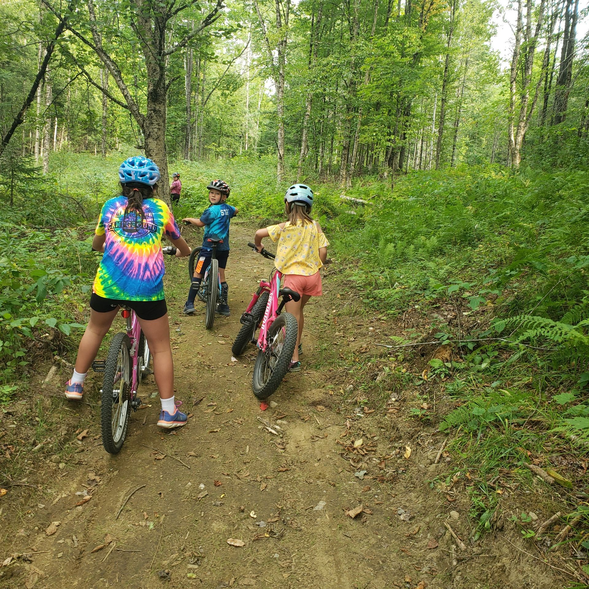 A group of children are riding bikes down a dirt path in the woods.