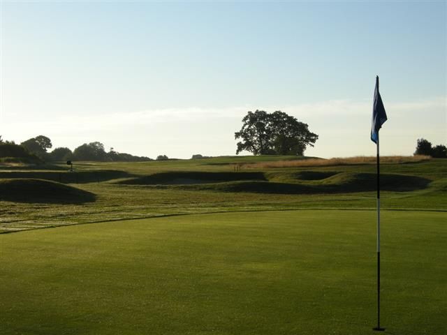 Golf course green with flagstick at sunset and trees in the distance