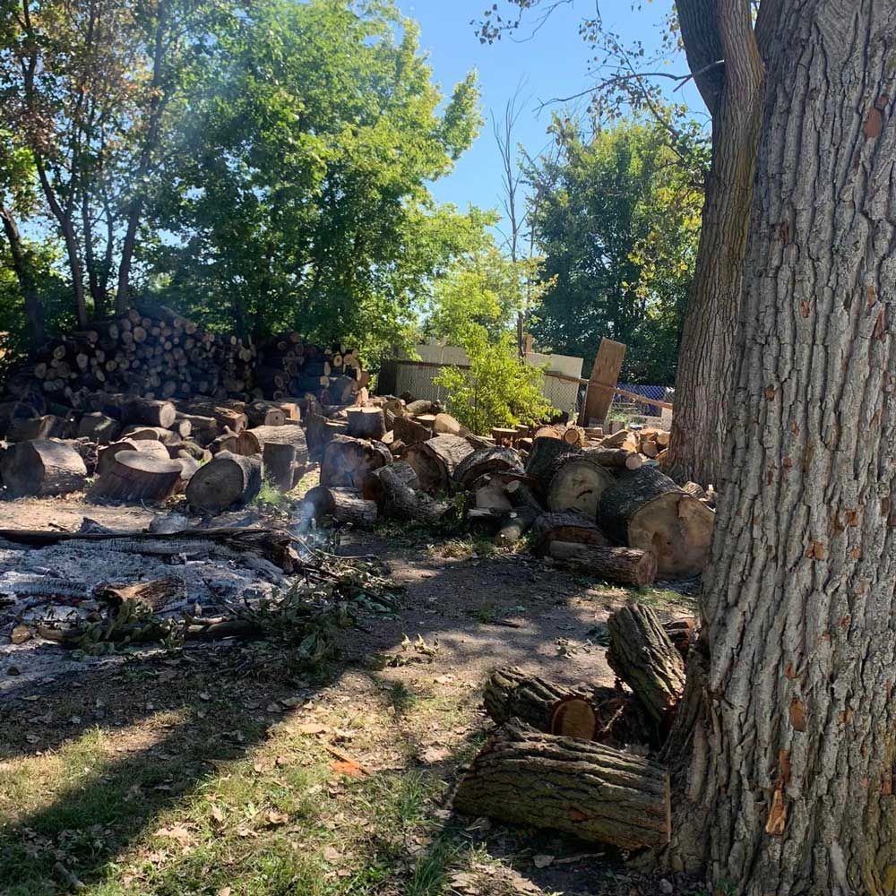 Chopped Trees — Caseyville, IL — Two Brothers Tree Service and Landscape