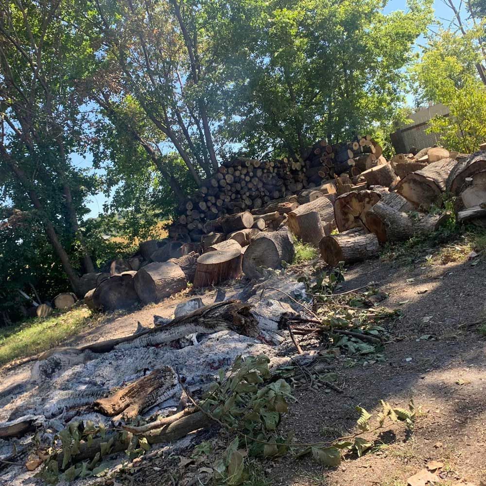 Pile of Wood — Caseyville, IL — Two Brothers Tree Service and Landscape