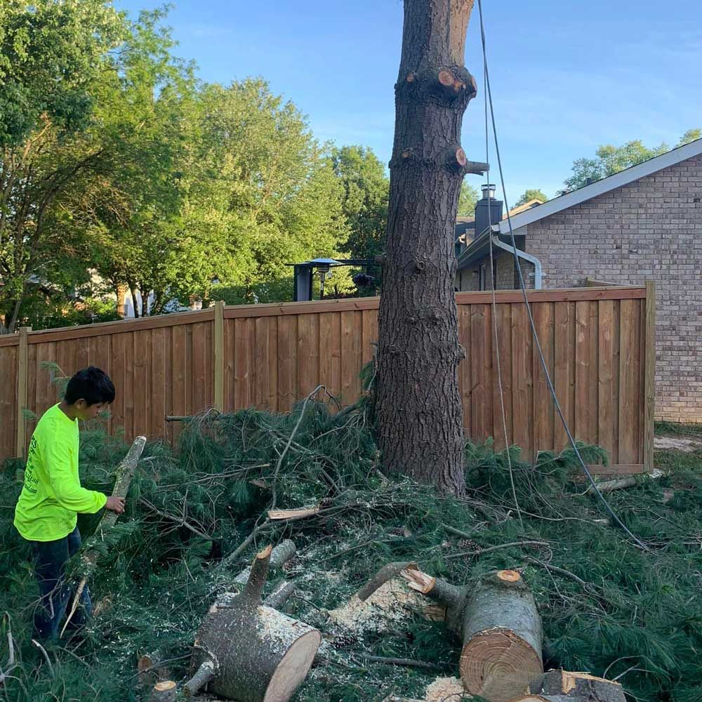 Man Picking Up Branches — Caseyville, IL — Two Brothers Tree Service and Landscape