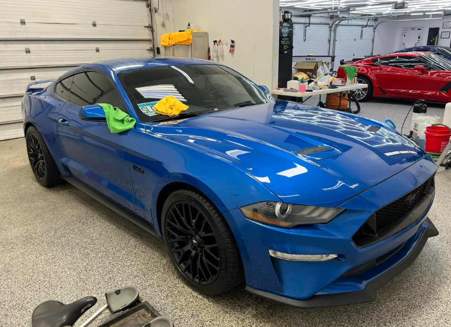 paint protection film in pine island