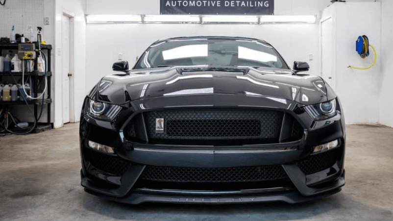 Paint Protection Film