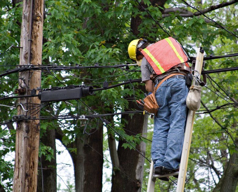 A Man is Standing on a Ladder Working on a Power Line — Dylko Electrical in Wauchope, NSW
