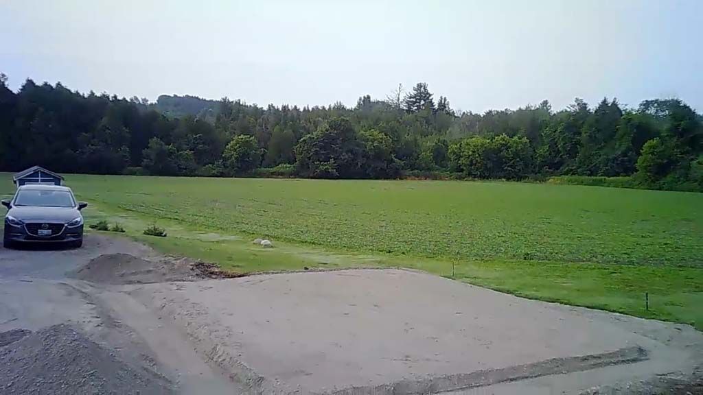 A car is parked in the middle of a grassy field