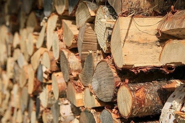 Firewood