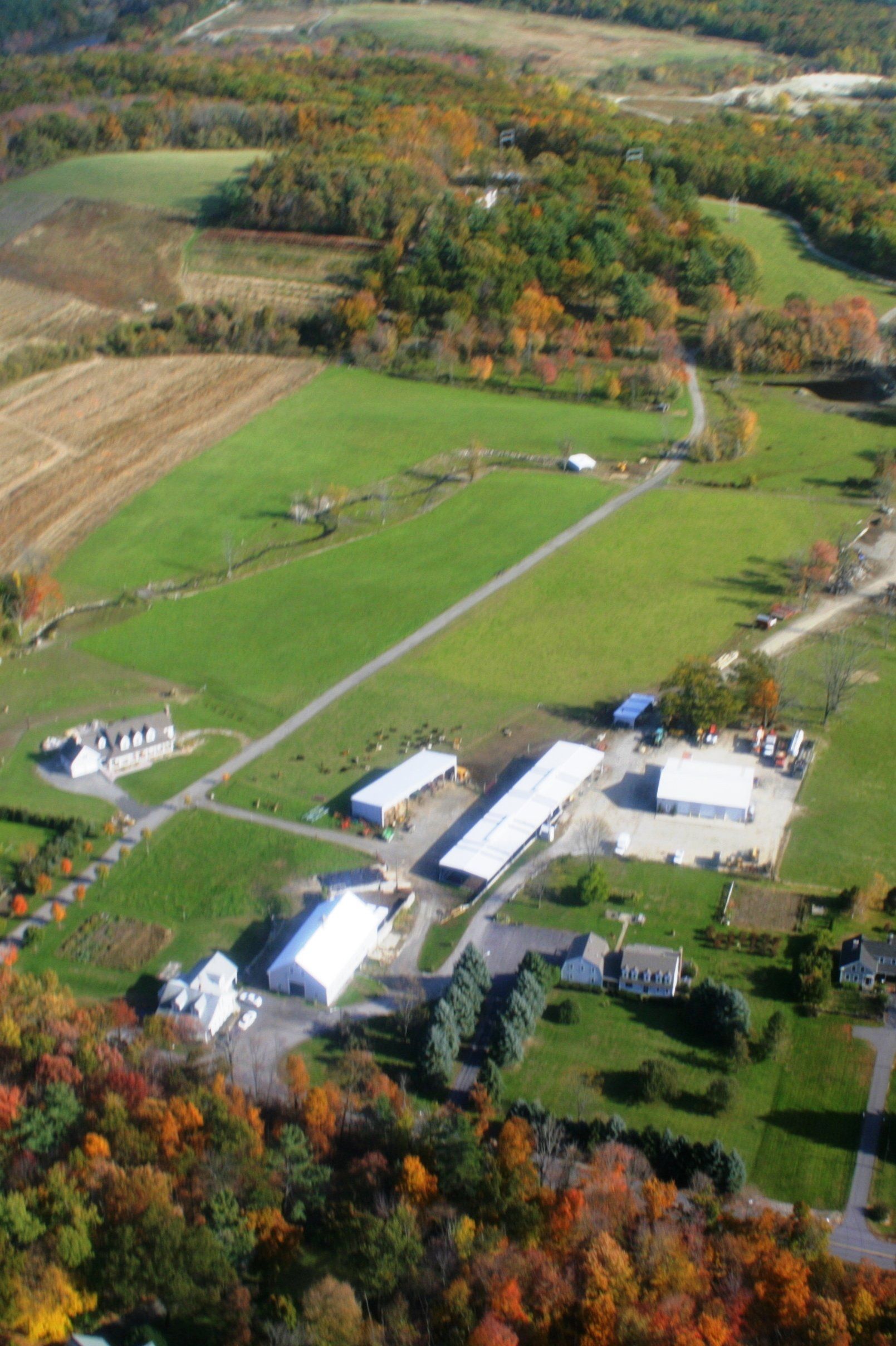 Favreau Forestry gallery photo 1