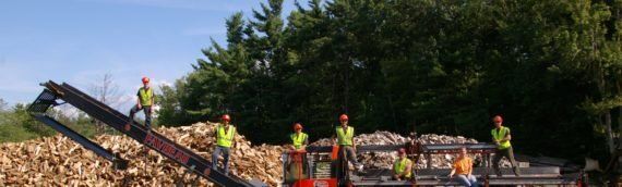 Favreau Forestry gallery photo 21