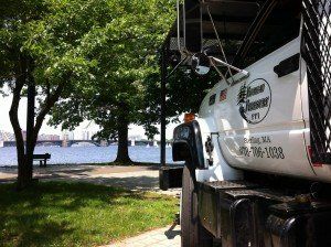 Favreau Forestry gallery photo 19