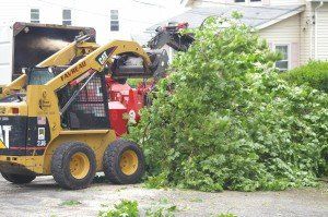 Favreau Forestry gallery photo 24