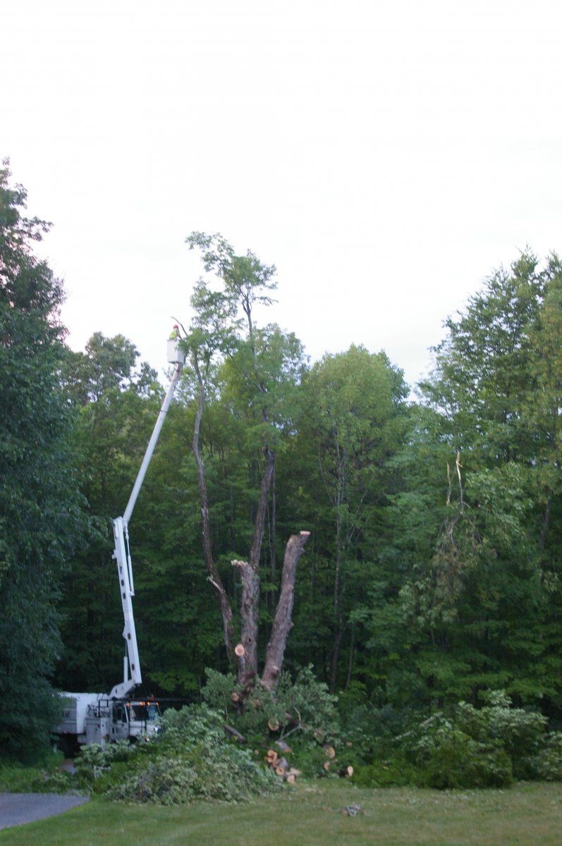 Favreau Forestry gallery photo 23