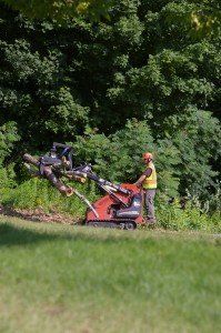 Favreau Forestry gallery photo 14