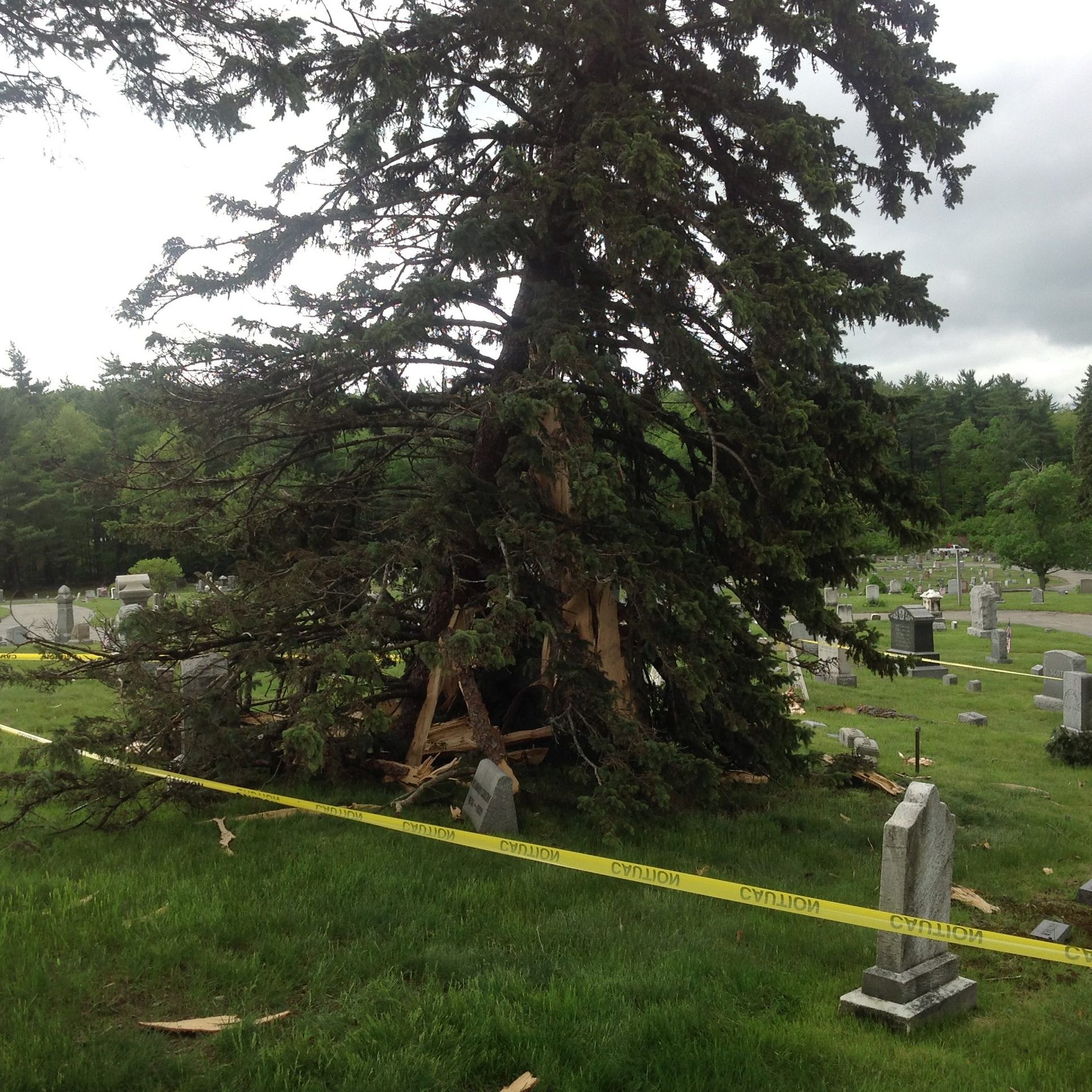 Storm Damage