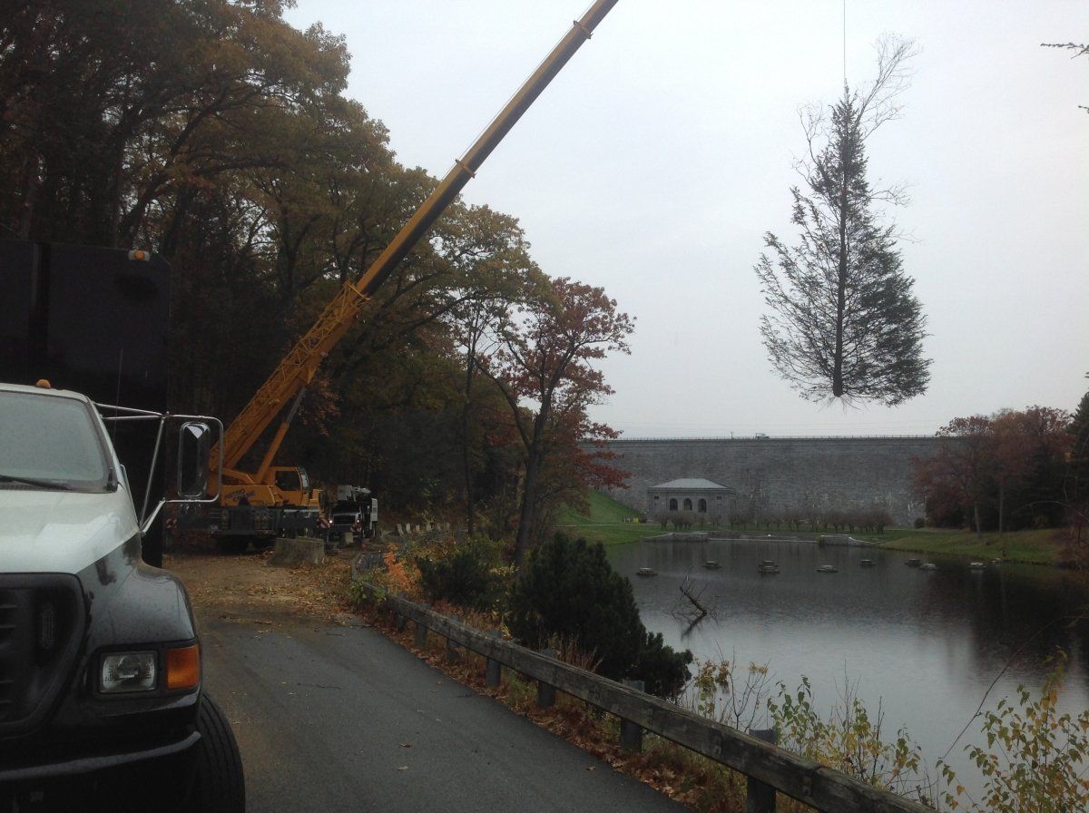 Favreau Forestry gallery photo 6