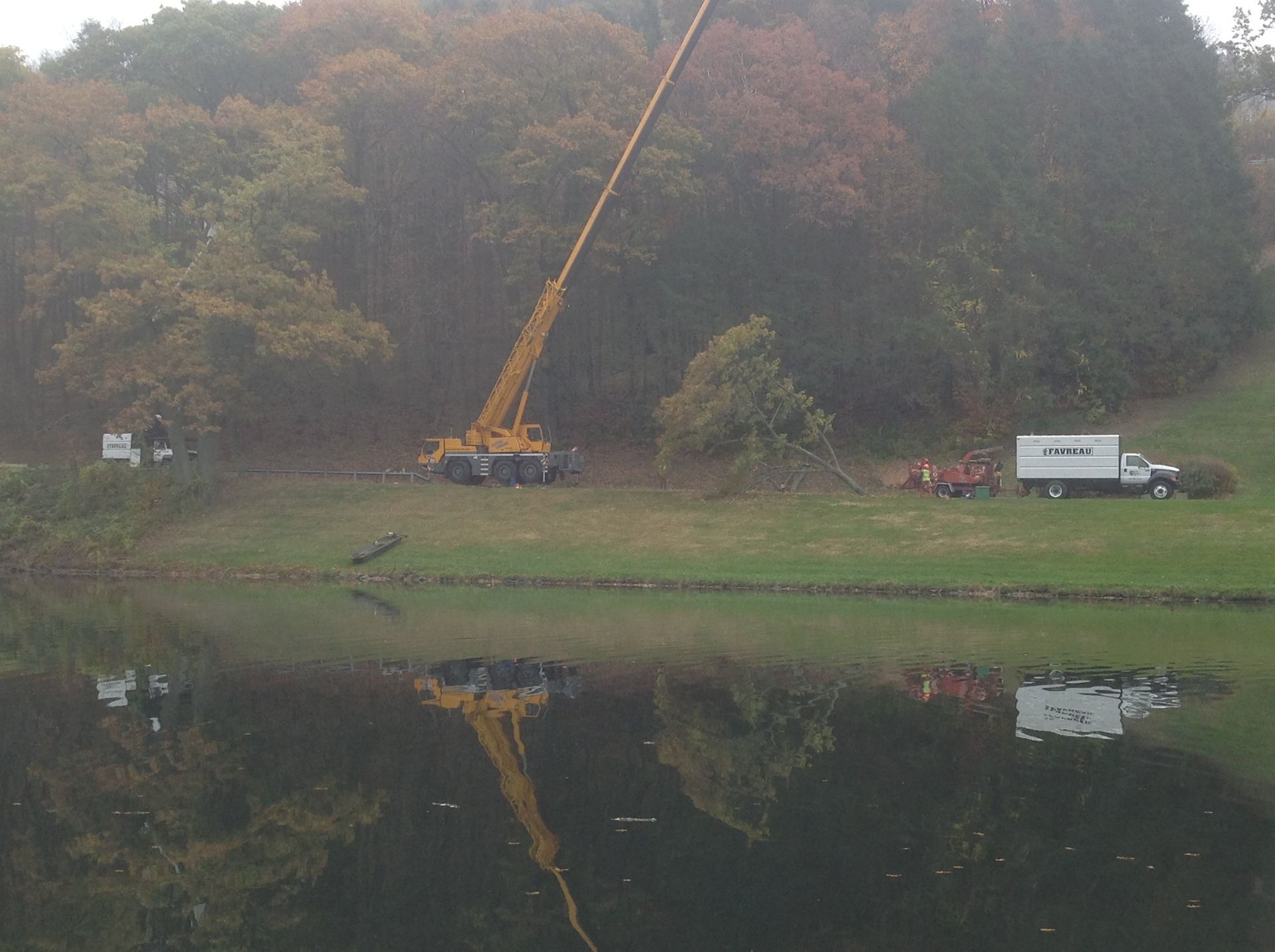 Favreau Forestry gallery photo 5