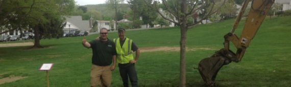 Favreau Forestry gallery photo 15