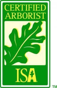 ISA logo