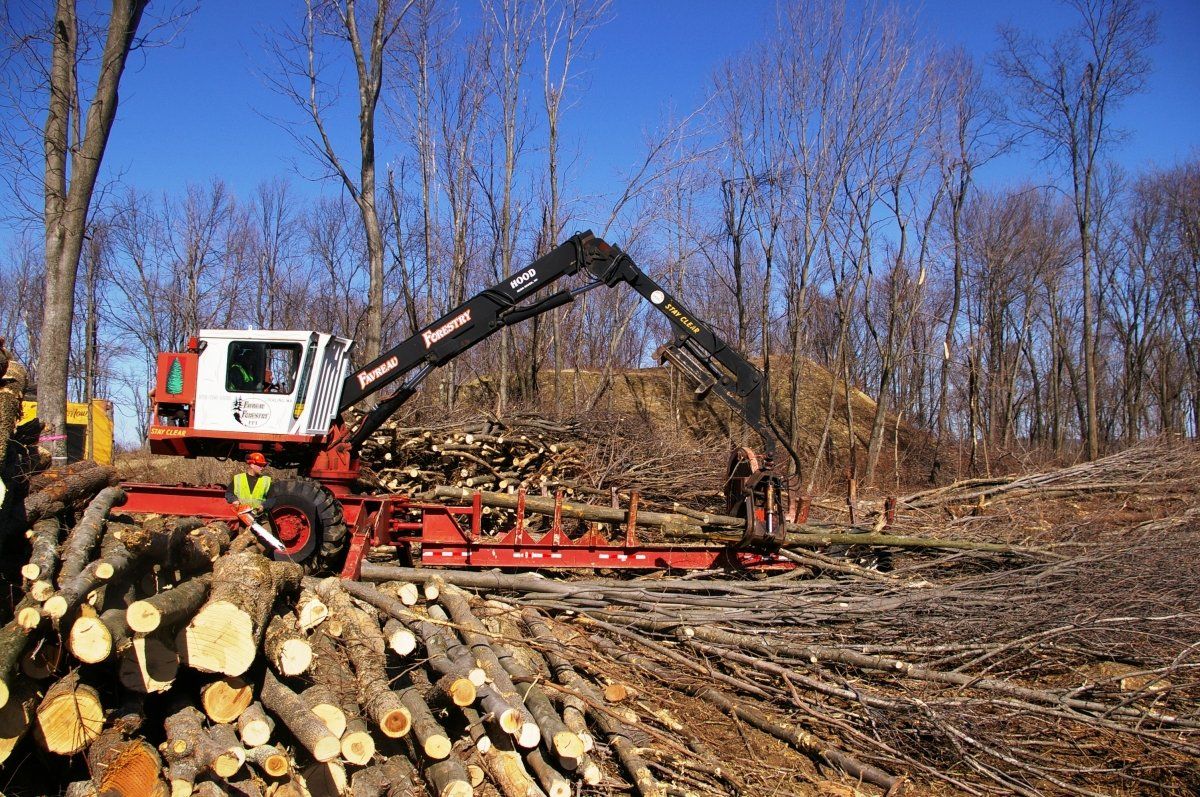 Favreau Forestry gallery photo 9