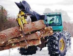 Favreau Forestry gallery photo 25