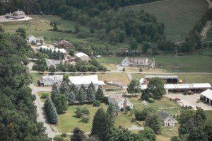 Favreau Forestry gallery photo 12