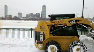 Favreau Forestry gallery photo 16