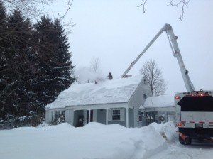 Favreau Forestry gallery photo 13