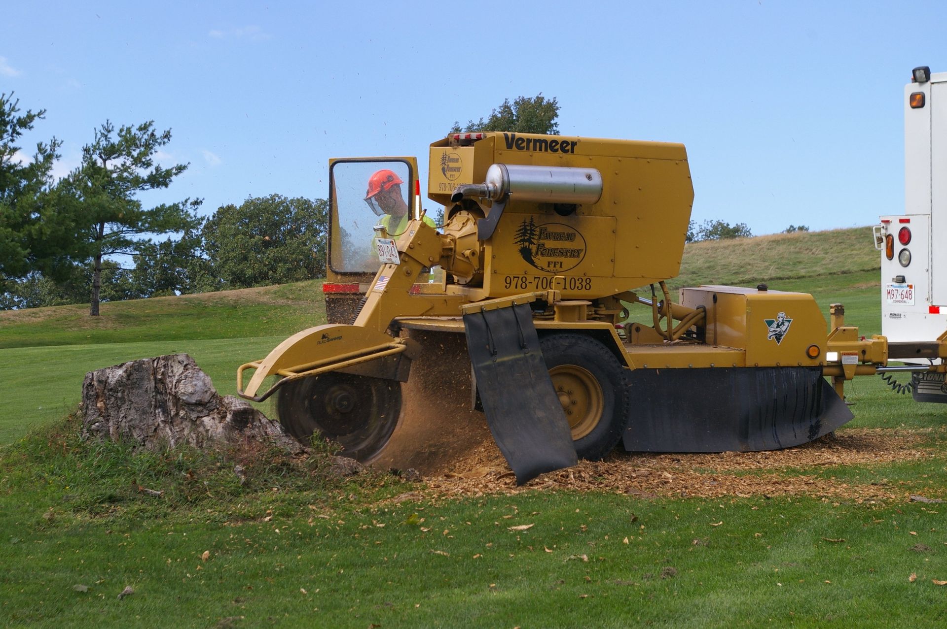 Favreau Forestry gallery photo 10