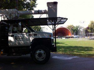 Favreau Forestry gallery photo 17