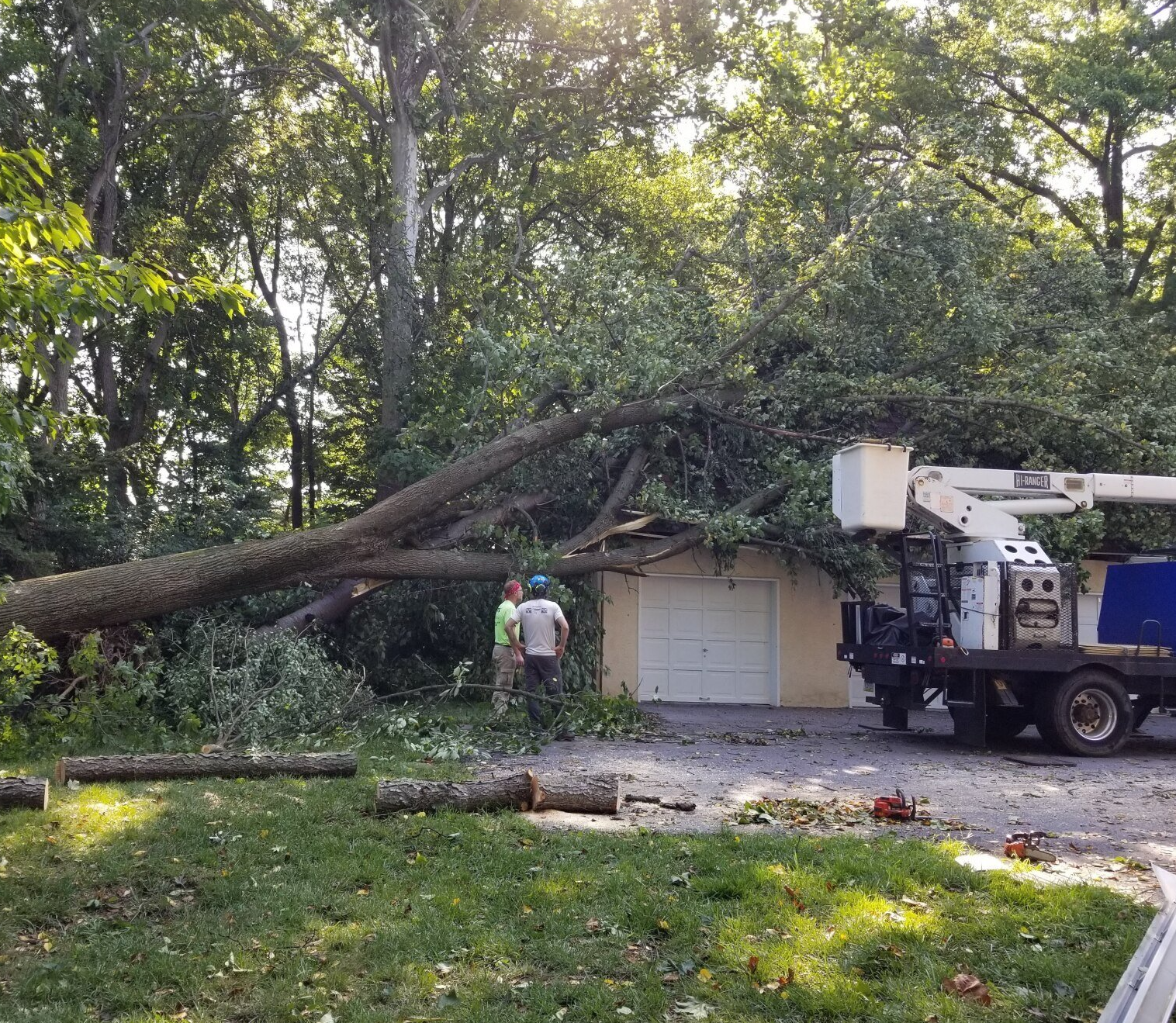 A man is standing next to a tree that has fallen on a garage.