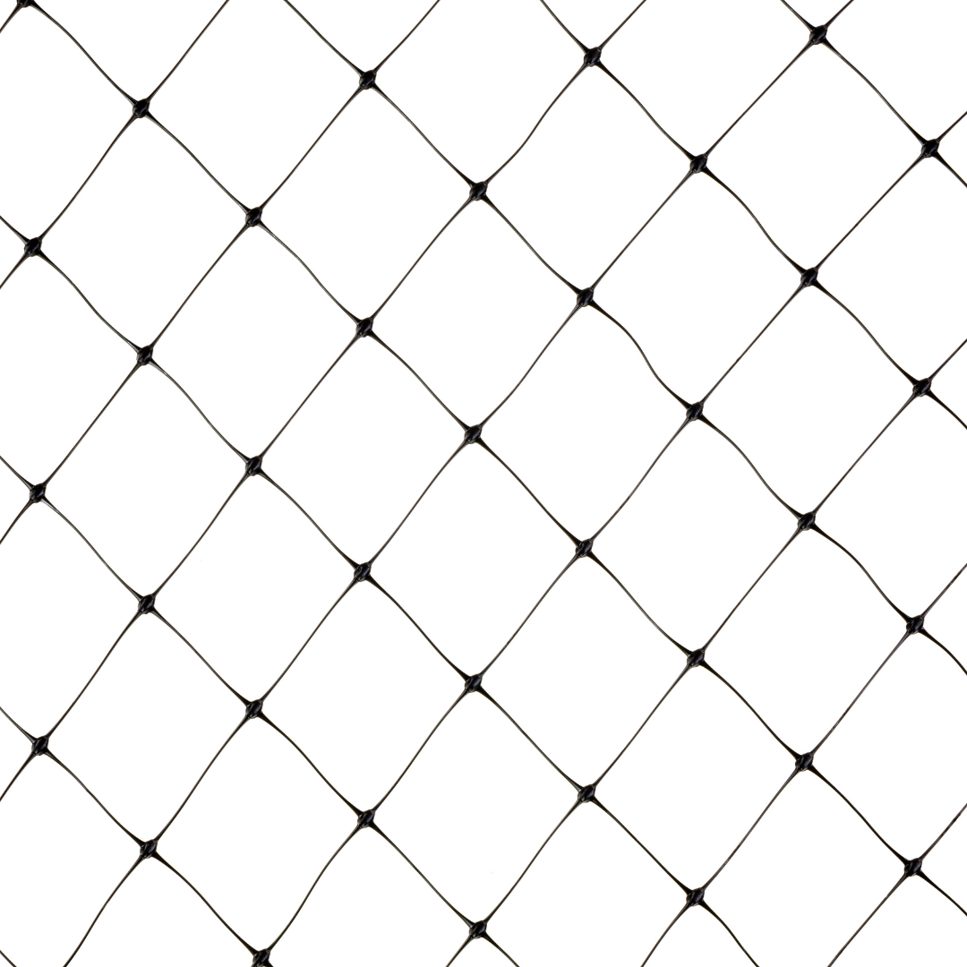 A close up of a fishing net on a white background.