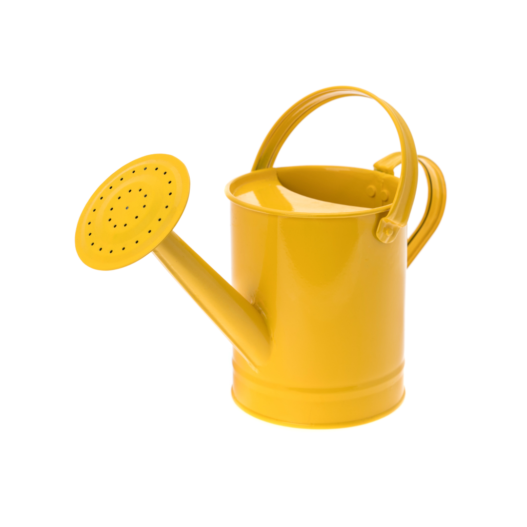 A yellow watering can on a white background