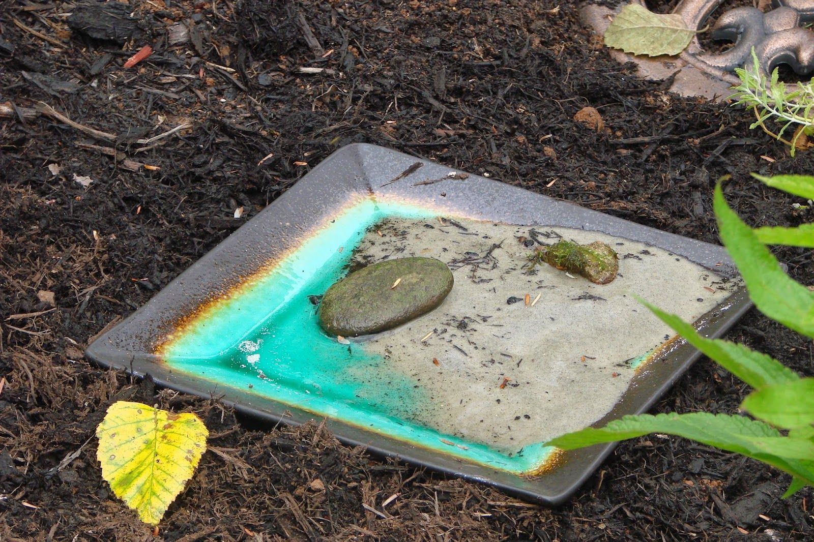 butterfly puddling station made with sand and dish