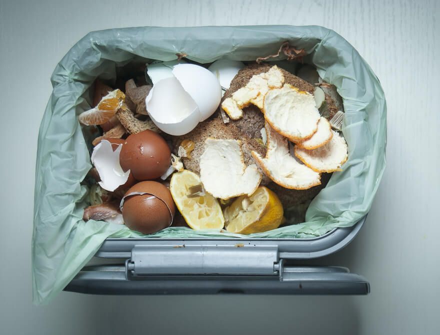 a compost bin filled with food scraps including eggs and lemons