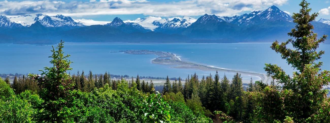 A view of a lake with mountains in the background and trees in the foreground.