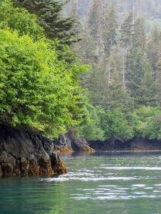 A body of water surrounded by trees and rocks.