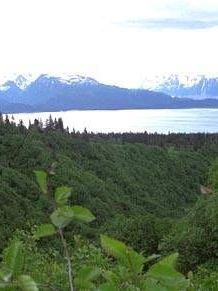 There is a lake in the middle of a forest with mountains in the background.