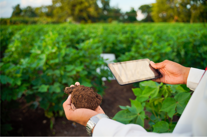 A person is holding a piece of soil and a tablet in their hands.