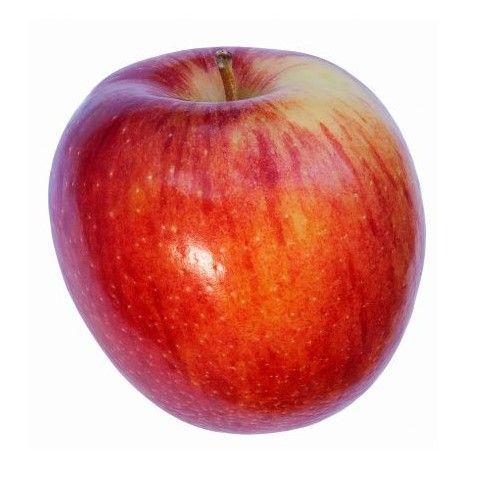 braeburn apple