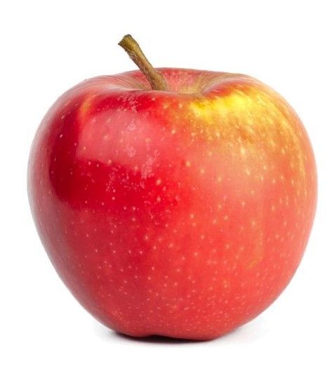 honey crisp apple