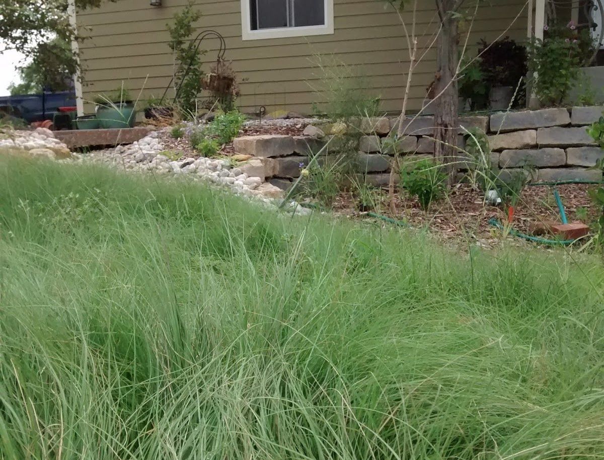 A house with a lot of grass in front of it.