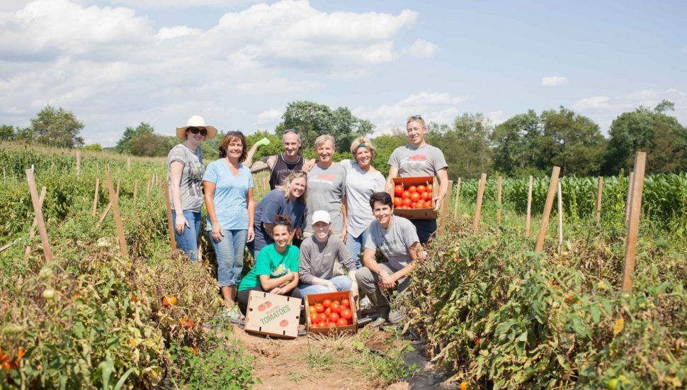 chester county food bank