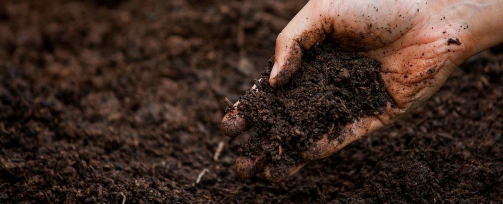 hand digging in potting soil