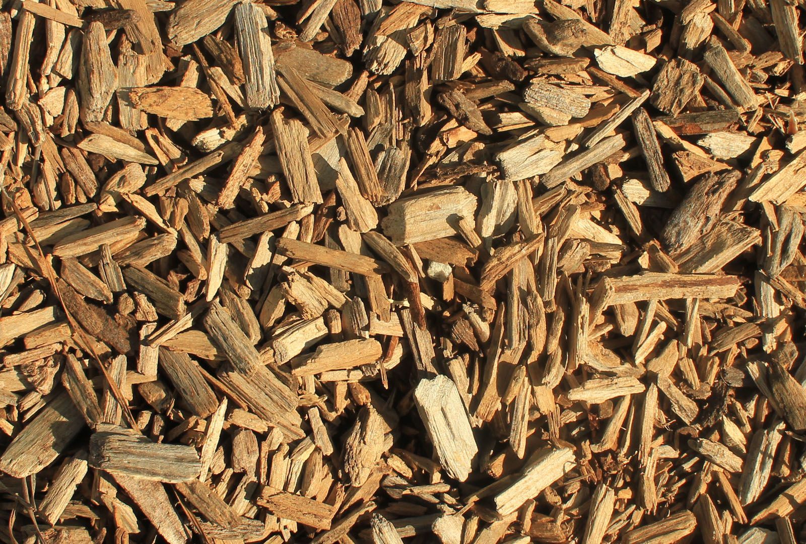 A pile of wood chips is sitting on the ground.