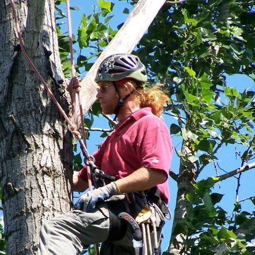 a man wearing a helmet is climbing a tree
