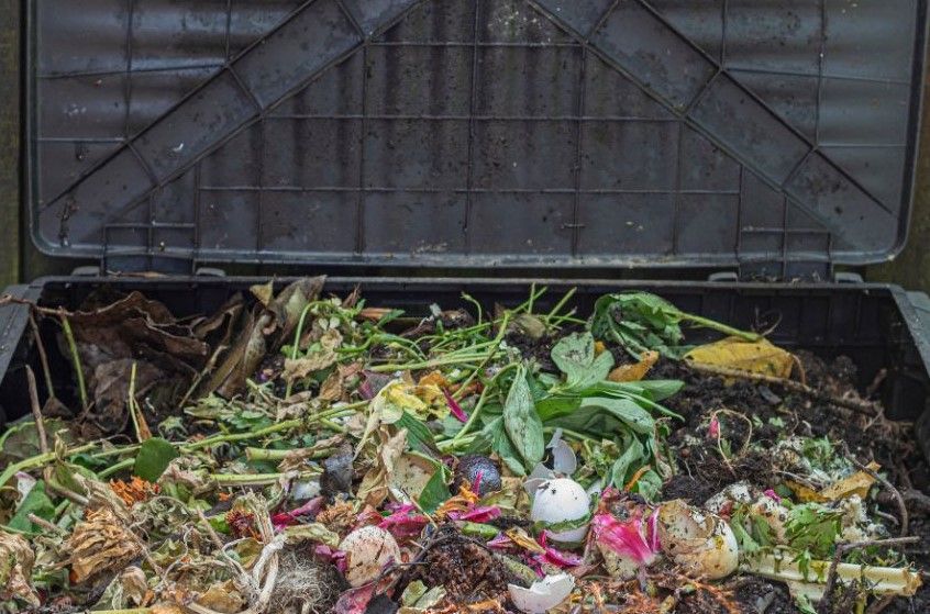 container composting