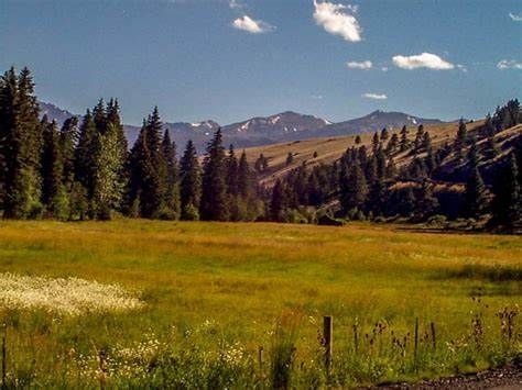 A grassy field with a fence in the foreground and mountains in the background.