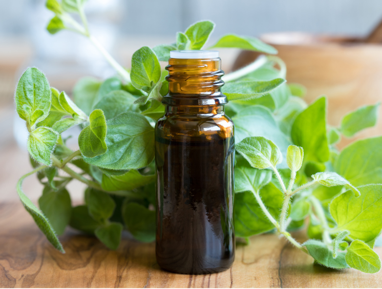 A bottle of essential oil is sitting on a wooden table next to a plant.