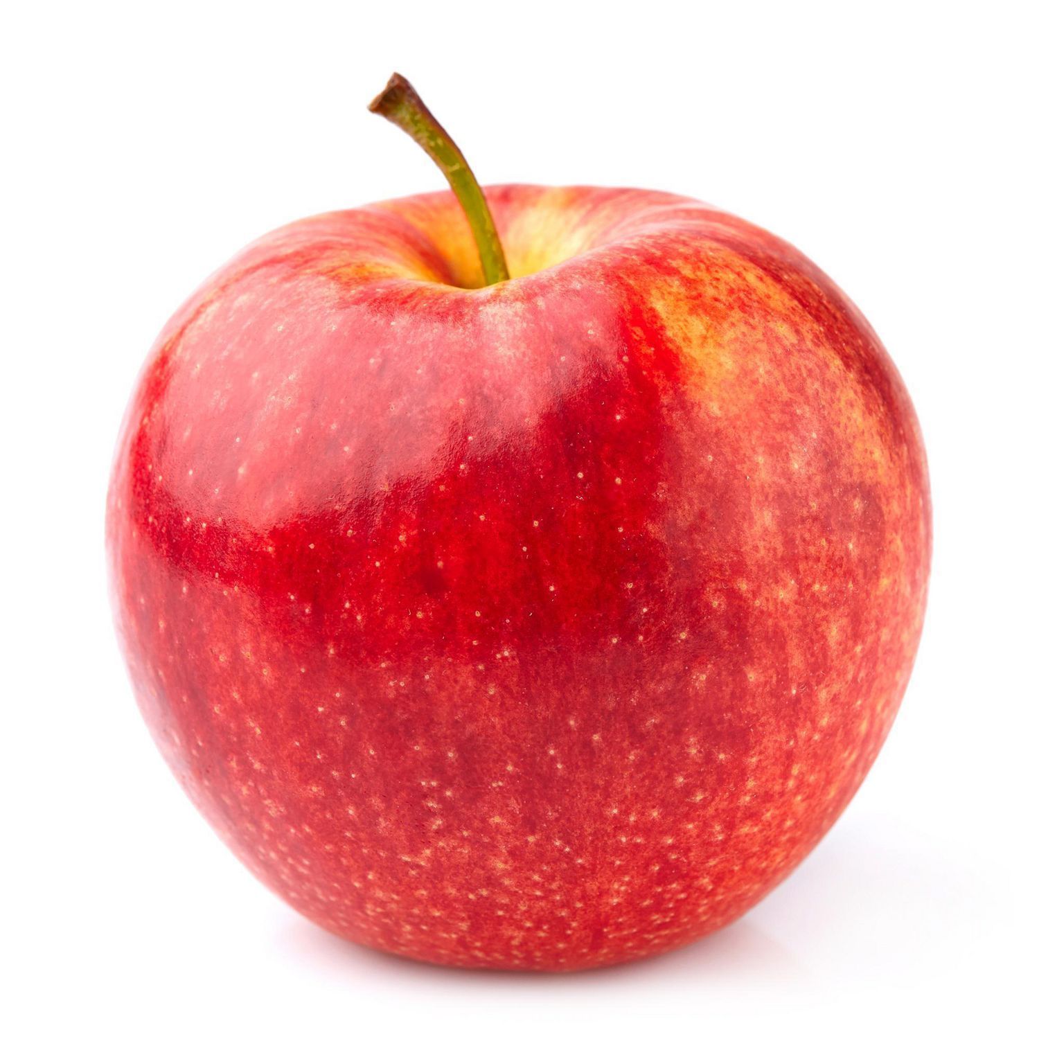 gala apple